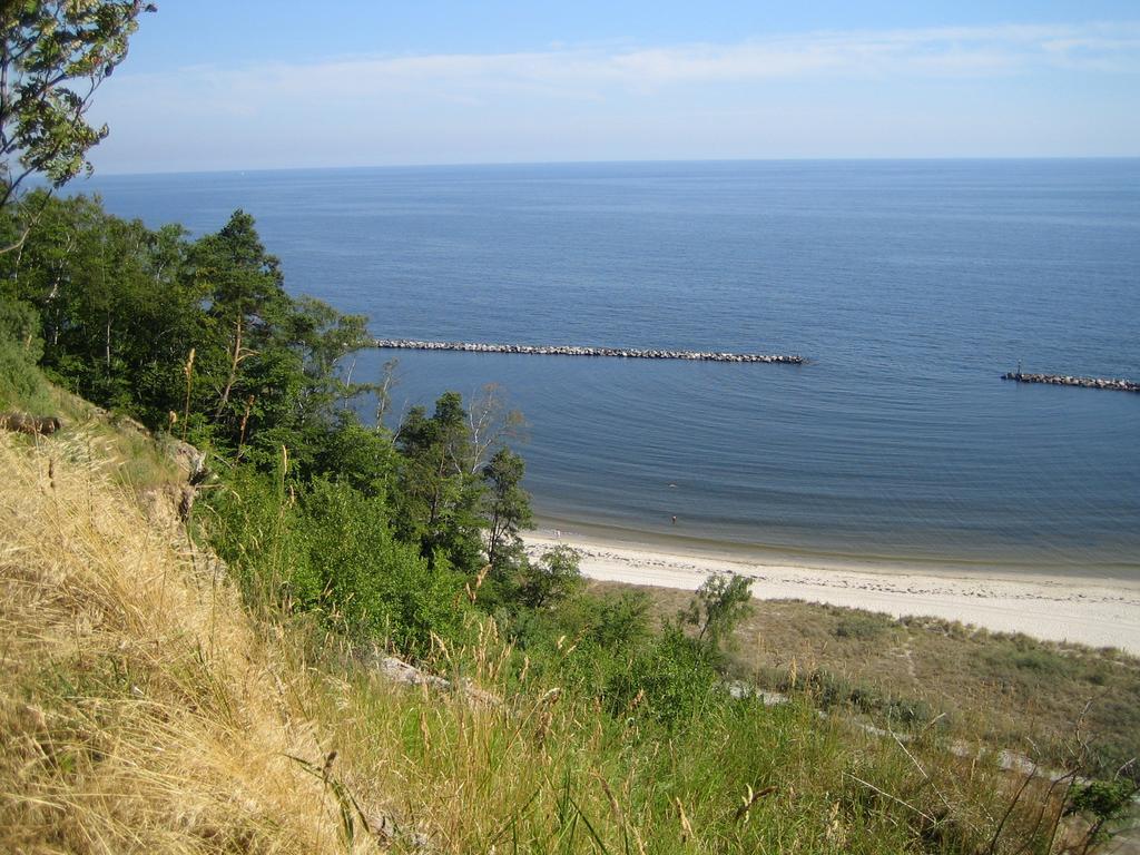 Am Kuestenwald 科瑟罗 外观 照片